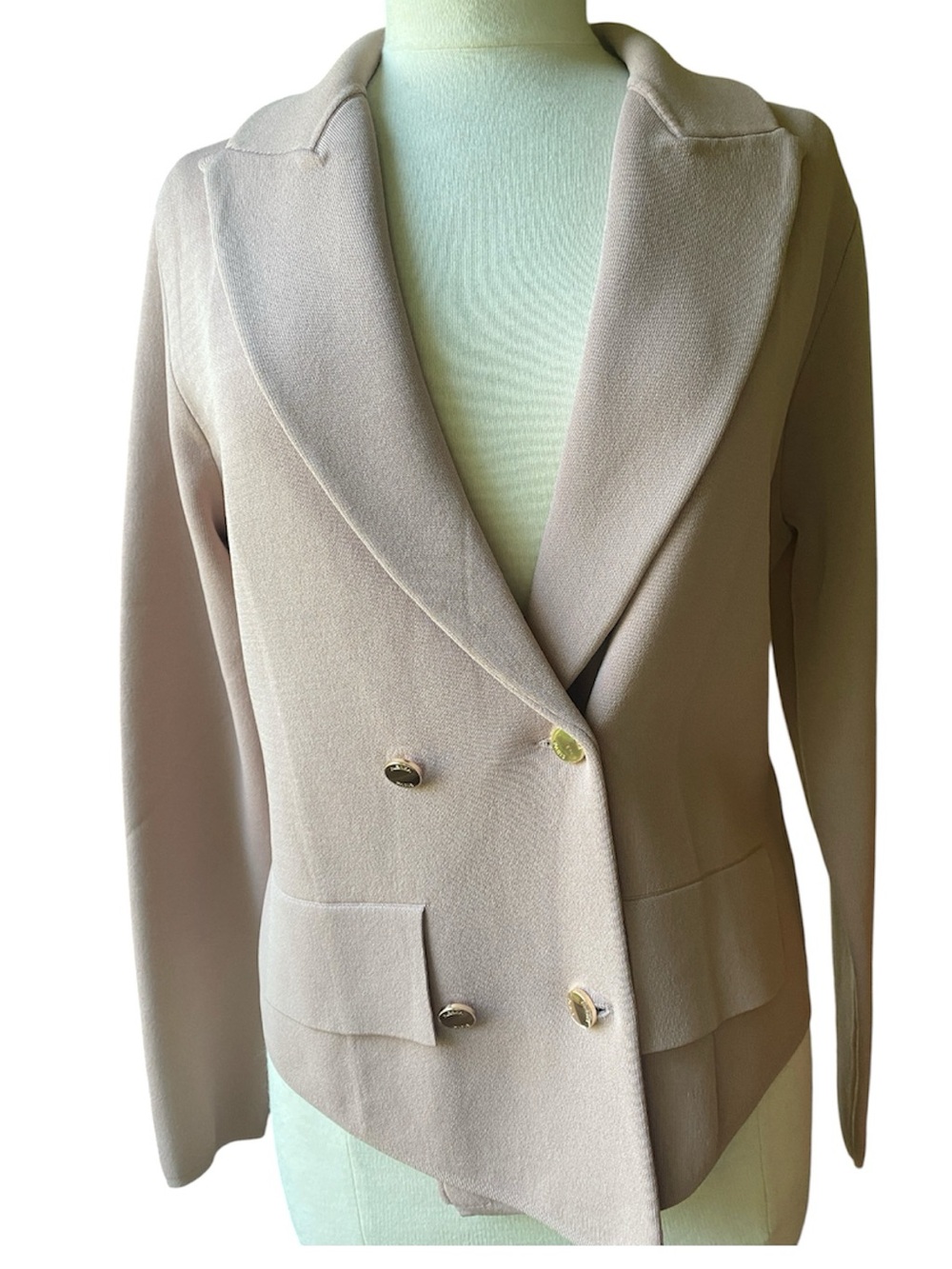 Aleeza Paris Haylee Blazer, double breasted, size Large, dusty pink